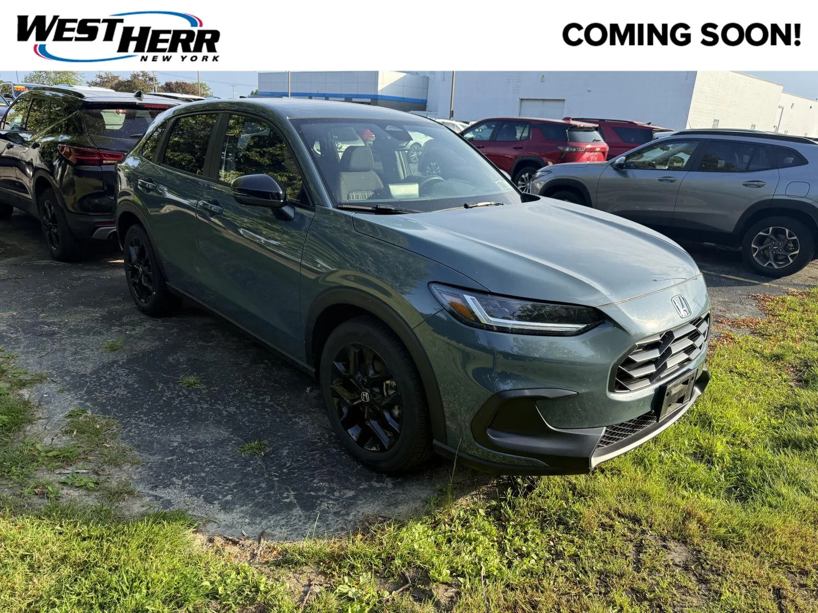 Used 2024 Nordic Forest Pearl Honda Sport image 1