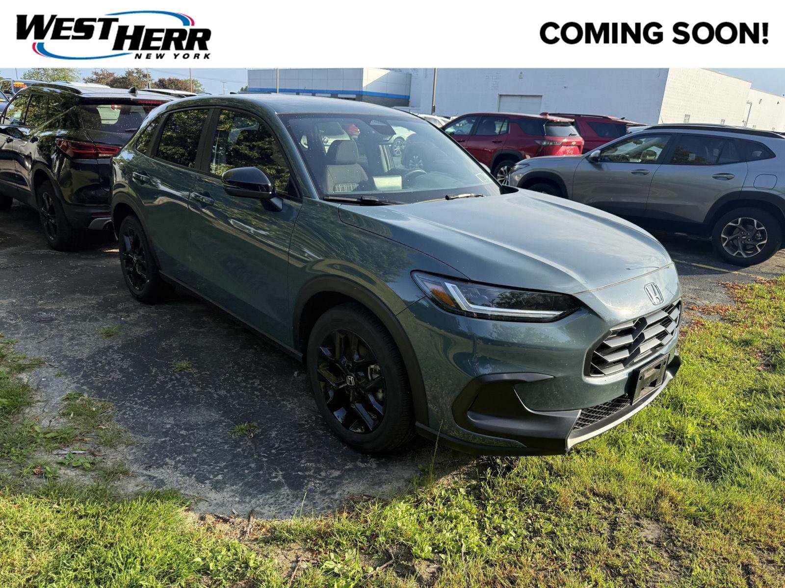 Used 2024 Nordic Forest Pearl Honda Sport image 1