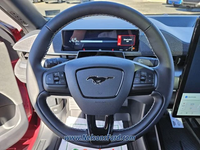 2025 Ford Mustang Mach-E GT - Photo 15