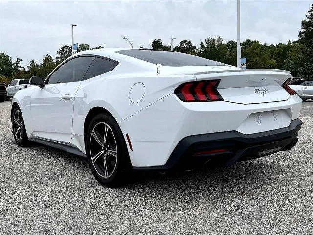 Used 2024 White Ford EcoBoost Premium image 6