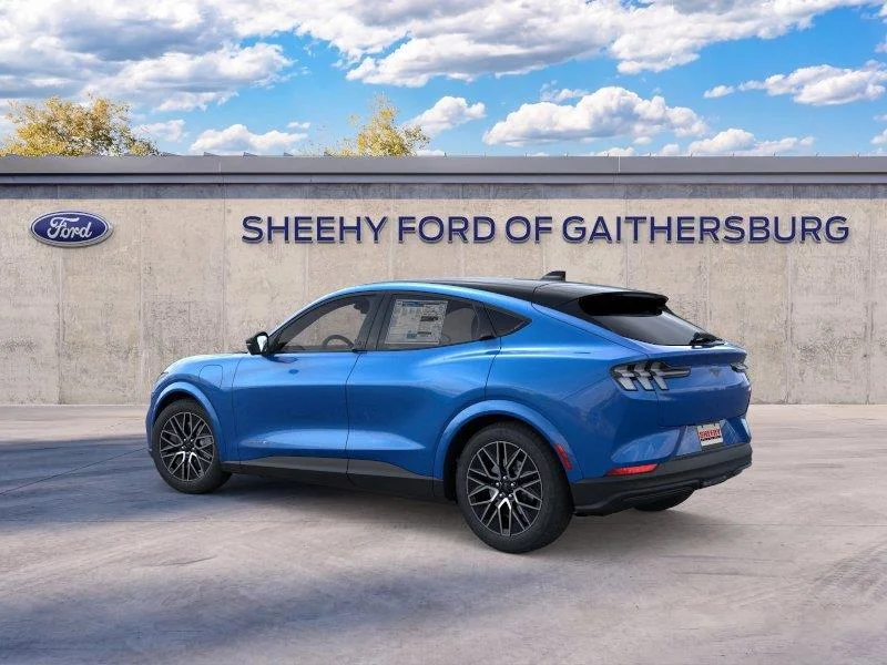 New 2026 Velocity Blue Metallic Ford Premium image 4