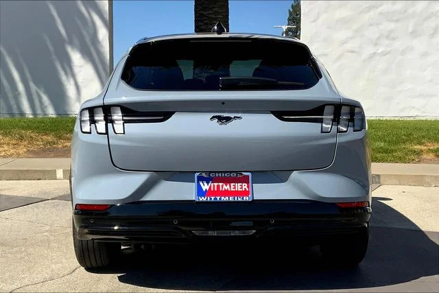 New 2025 Gray Ford Premium image 4