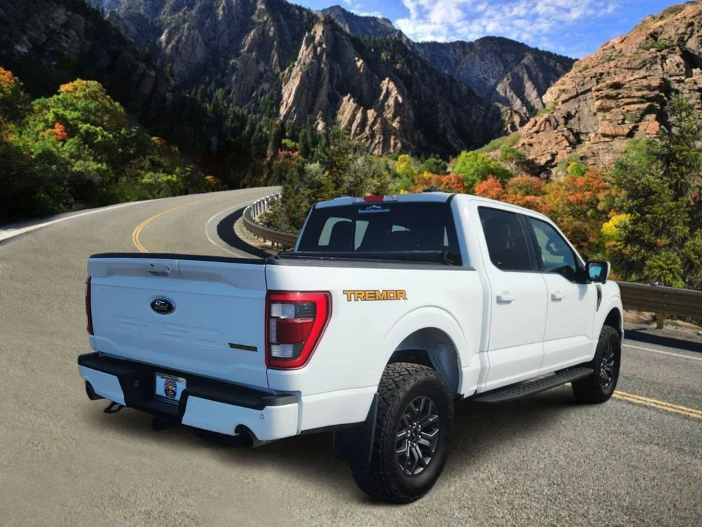 Used 2023 White Ford Tremor image 3