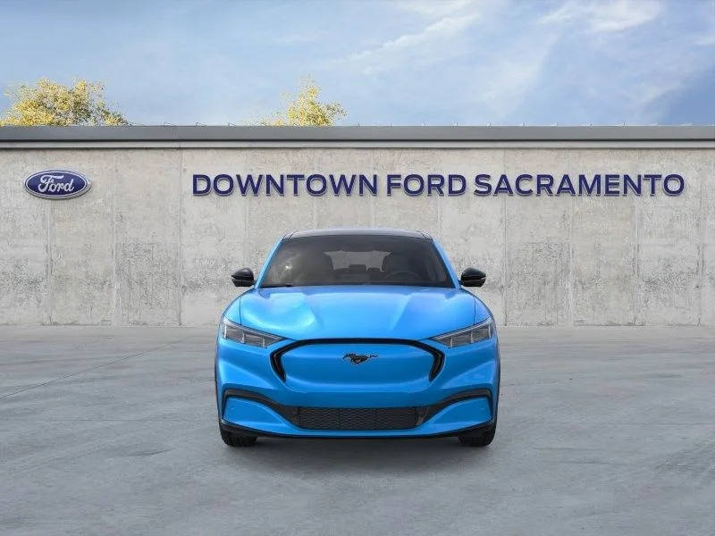 New 2024 Blue Ford Premium image 7