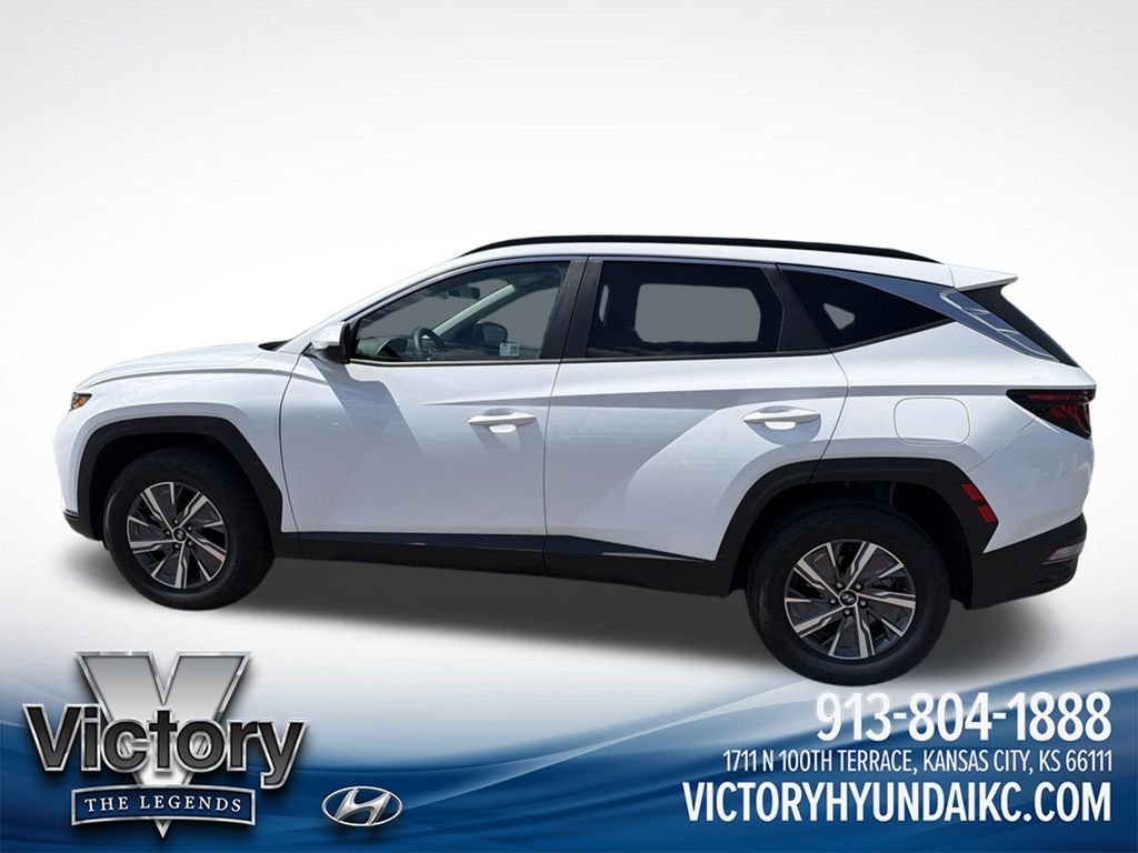 Certified 2024 Hyundai Tucson Blue with VIN KM8JBCD11RU211549 for sale in Kansas City