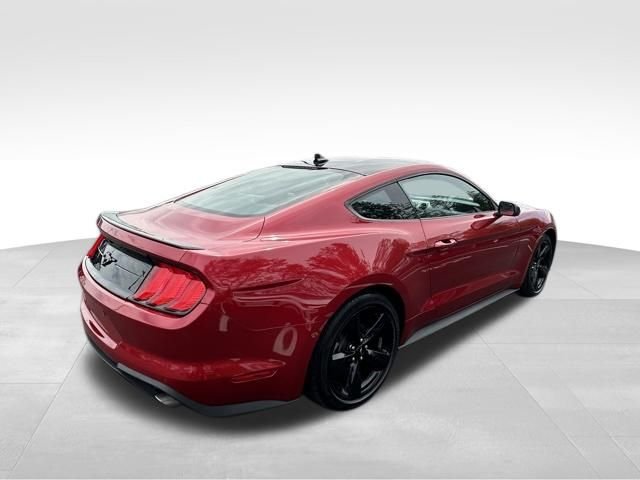 Used 2022 Red Ford EcoBoost Premium image 7