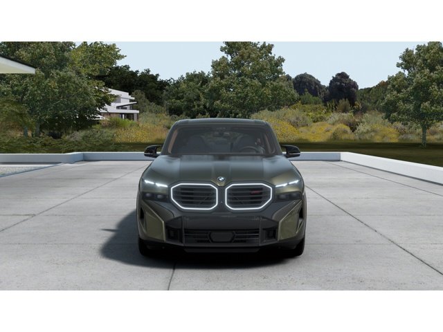 New 2026 Brass Metallic BMW Label image 3