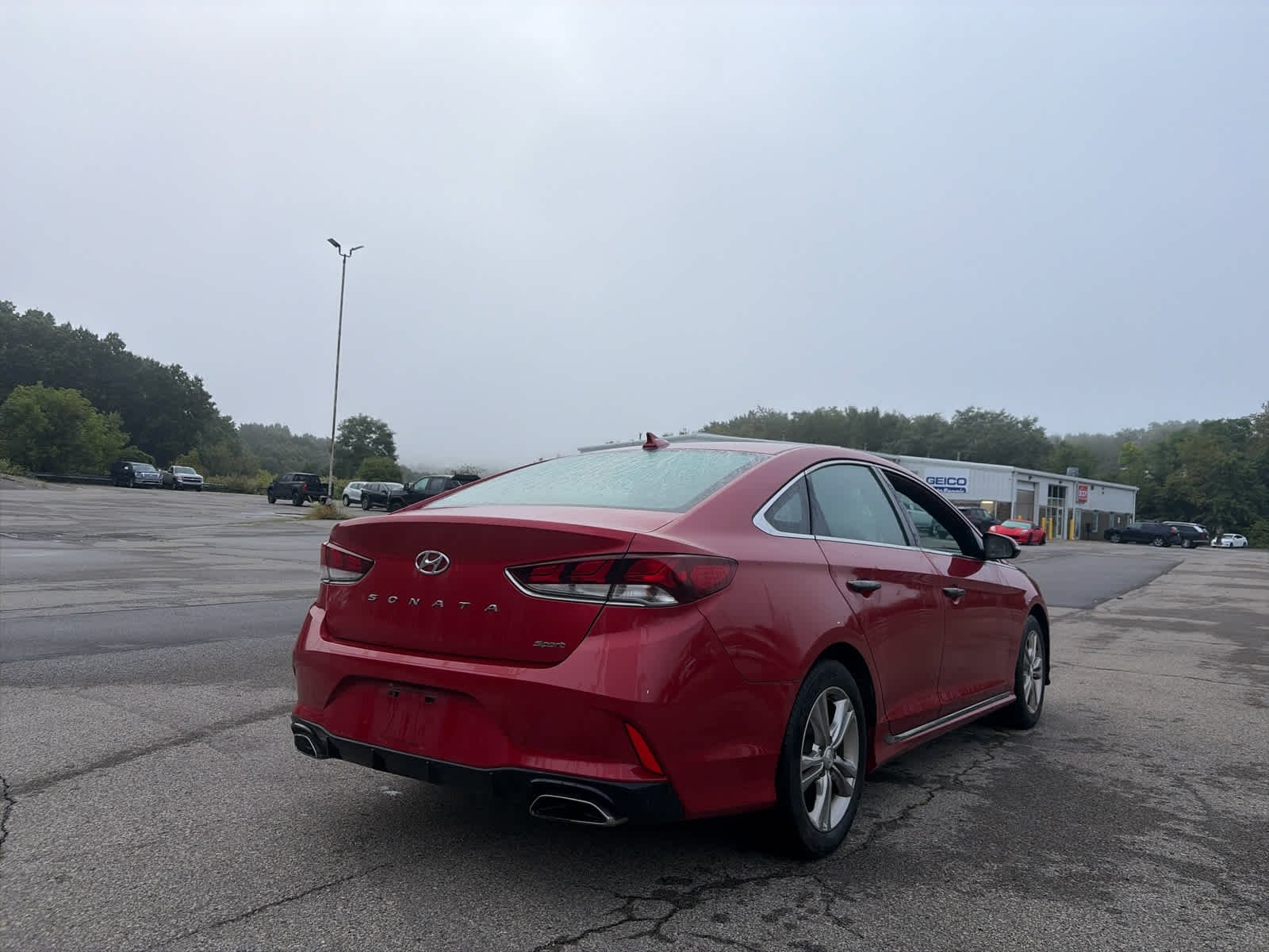 Used 2019 Hyundai Sonata Sport with VIN 5NPE34AF3KH813006 for sale in Zelienople, PA