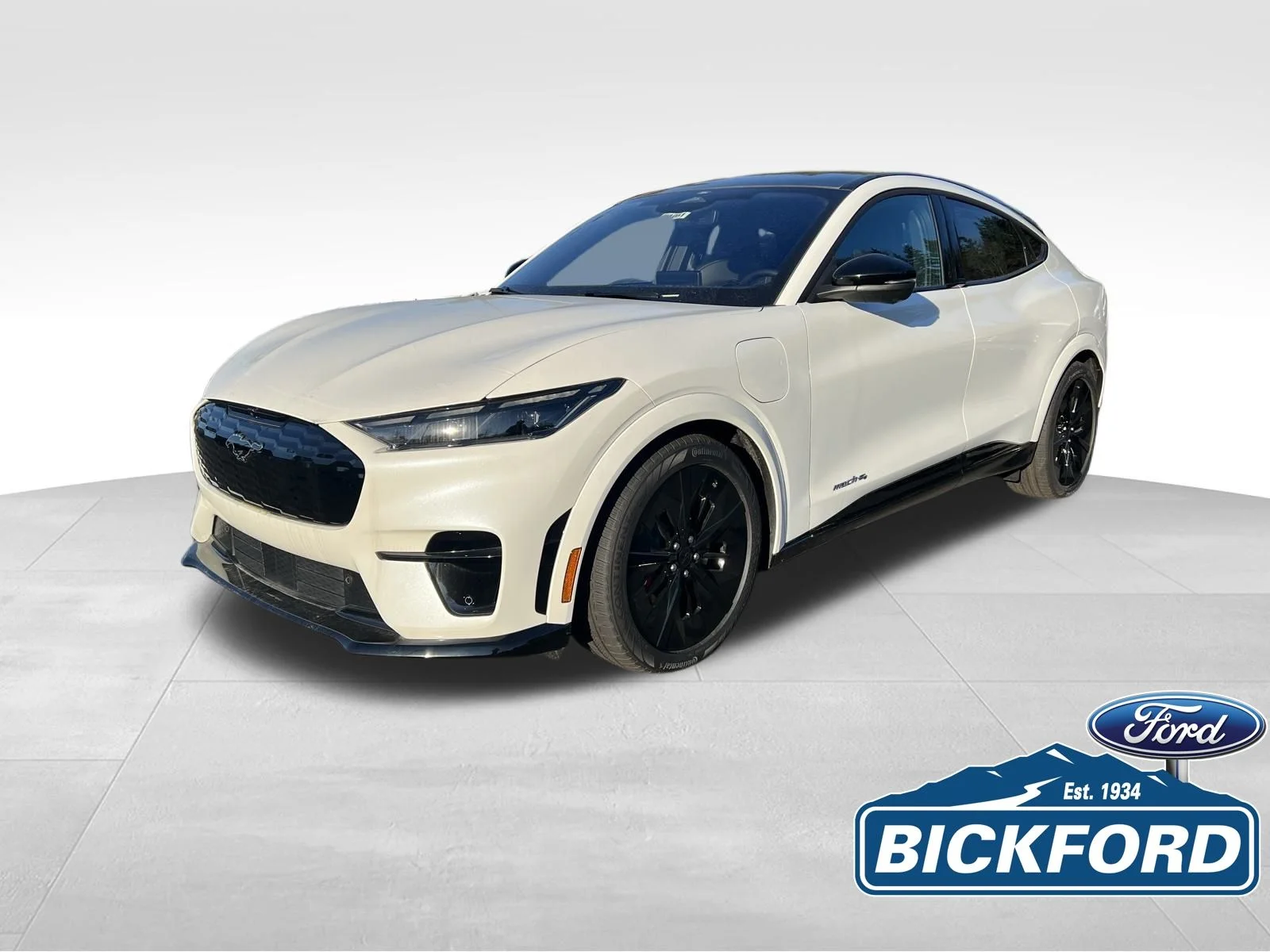 2025 Ford Mustang-Mach-e GT's photo