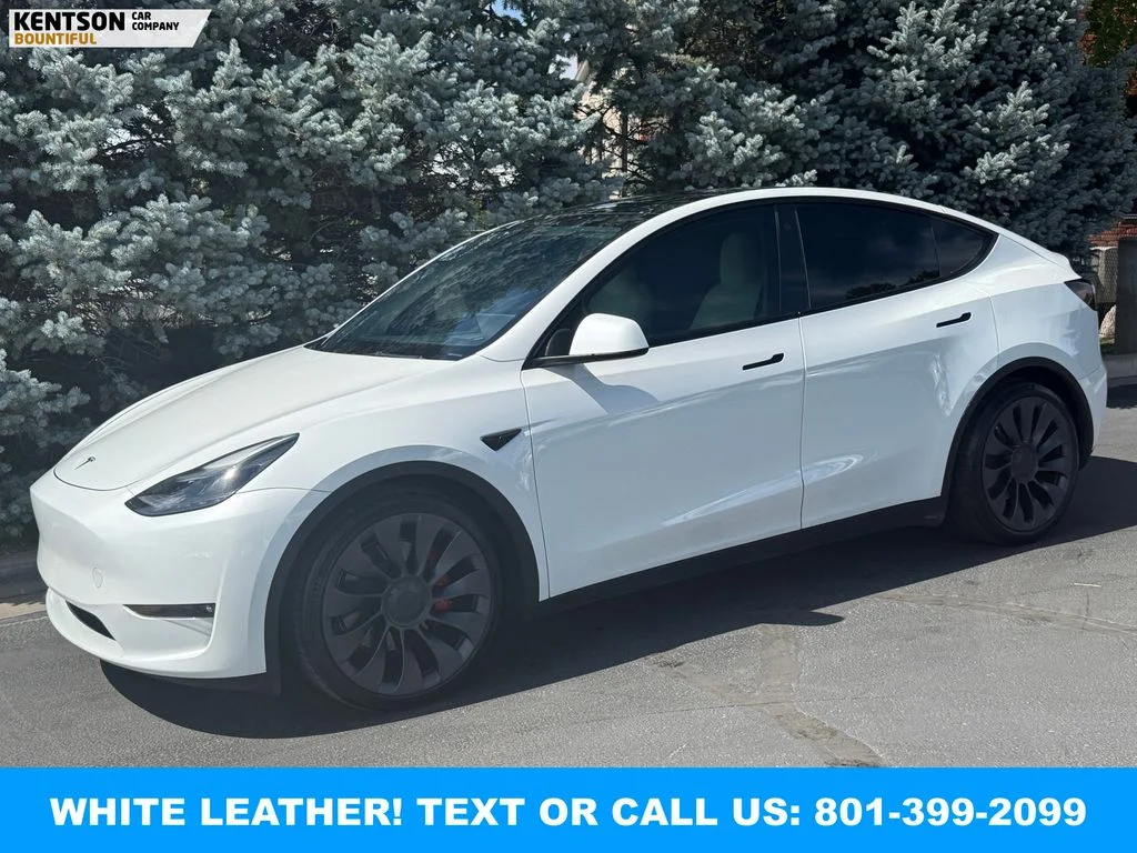 2023 Tesla Model Y Performance Dual Motor All-Wheel Drive's photo