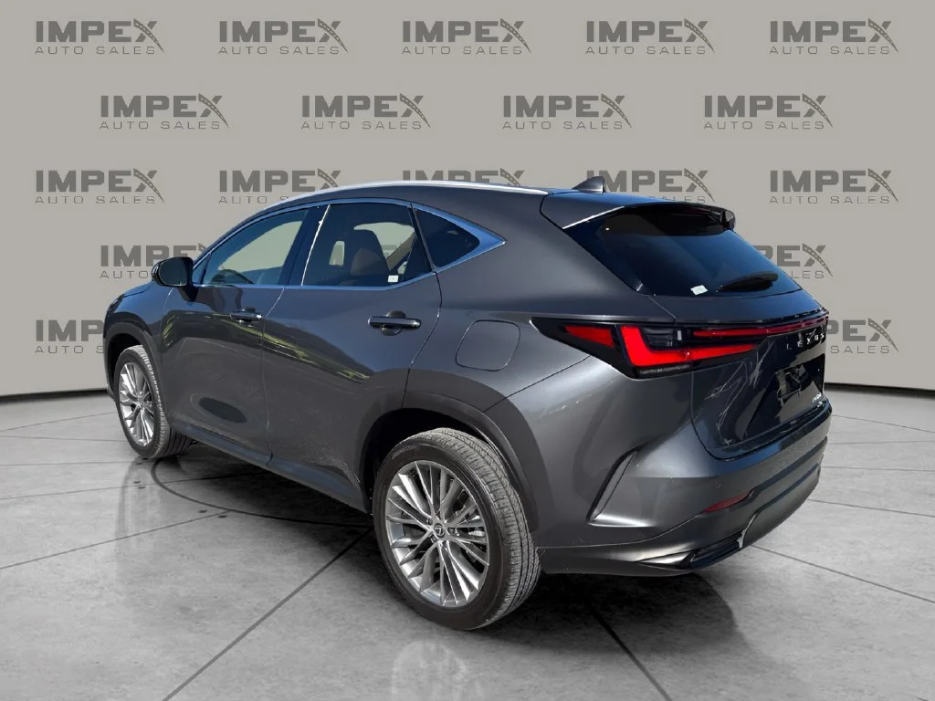 Used 2025 Gray Lexus 350h Luxury image 3