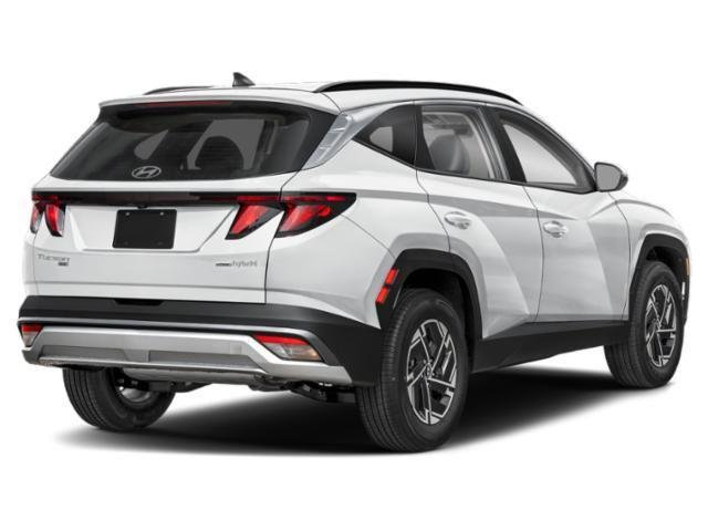 New 2026 Creamy White Pearl Hyundai Blue image 3
