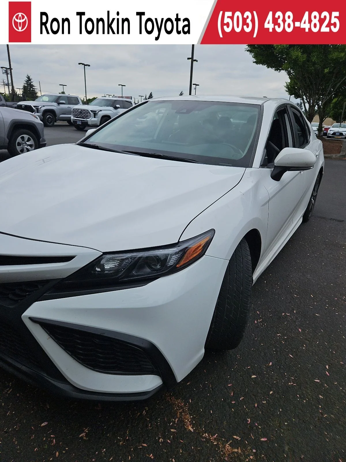 2023 Toyota Camry SE's photo
