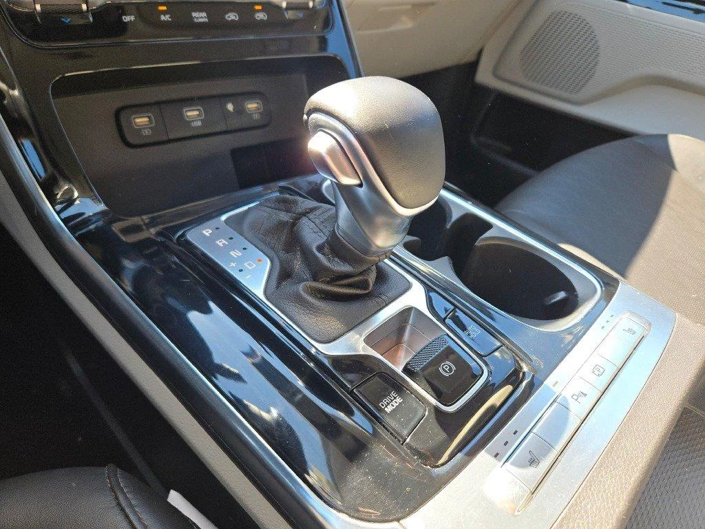 Used 2022 Panthera Metal Kia EX image 24