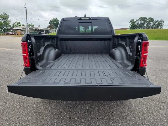 New 2026 Diamond Black Crystal Pearl-Coat Exterior Paint RAM RHO image 22