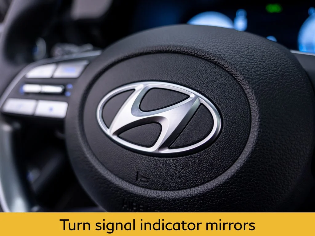 Used 2025 Black Hyundai Calligraphy Night Edition image 25