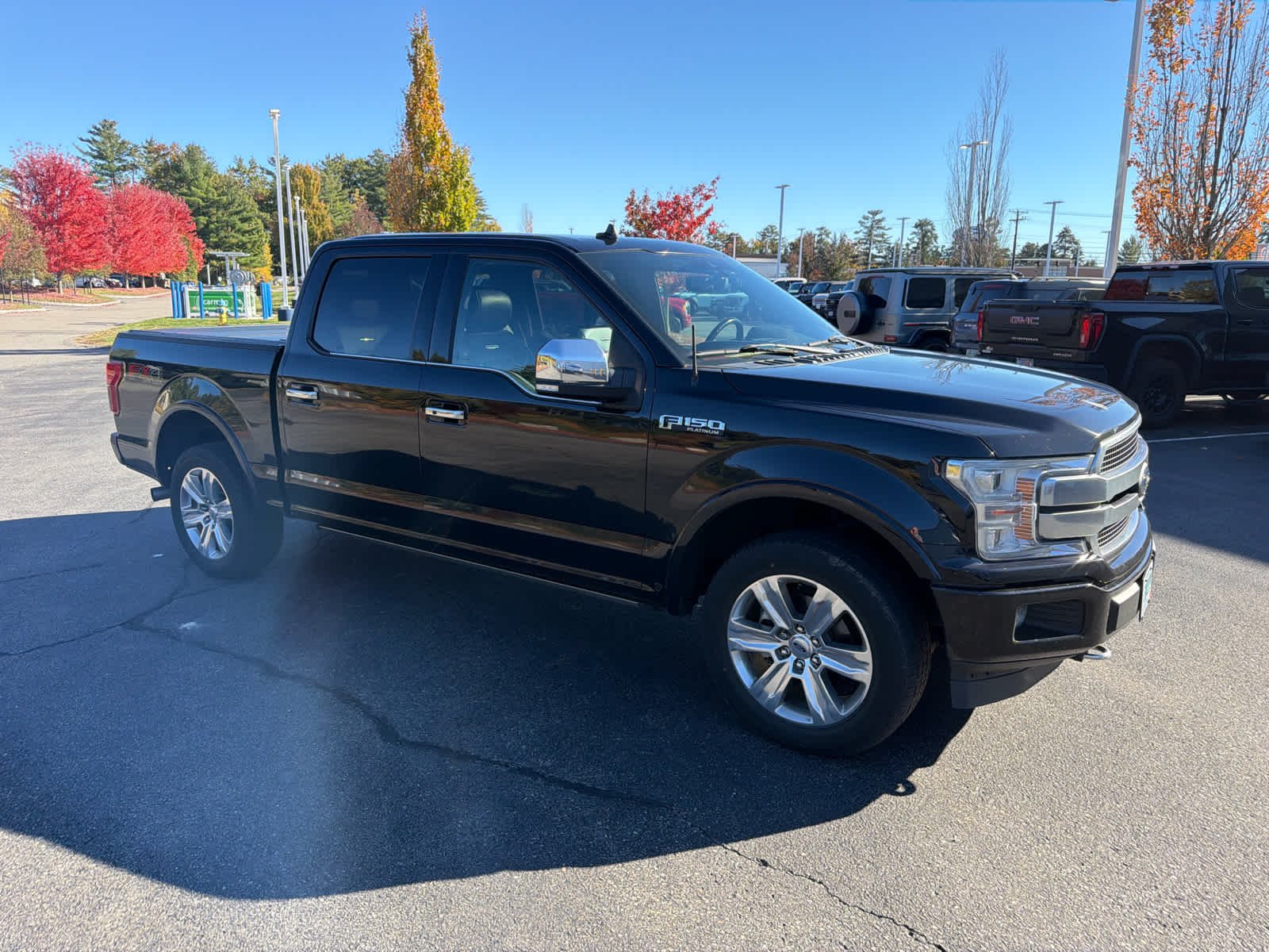 Used 2019 Agate Black Ford Platinum image 3