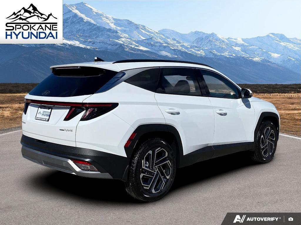 New 2026 Creamy White Pearl Hyundai Limited image 6