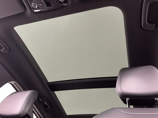 New 2026 Wolf Gray Kia X-Line image 21