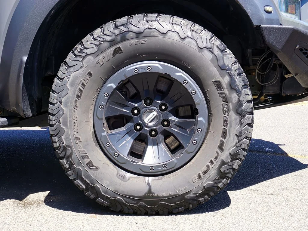2018 Ford F-150 Raptor - Photo 9