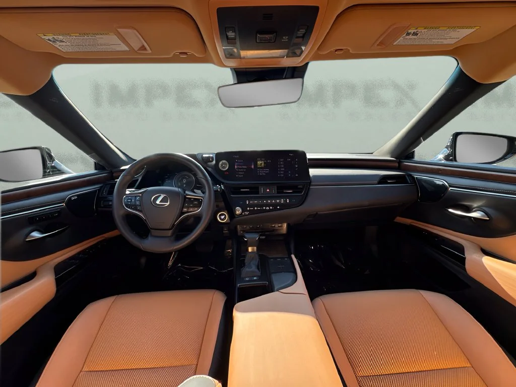 Used 2022 Red Lexus 300h image 13