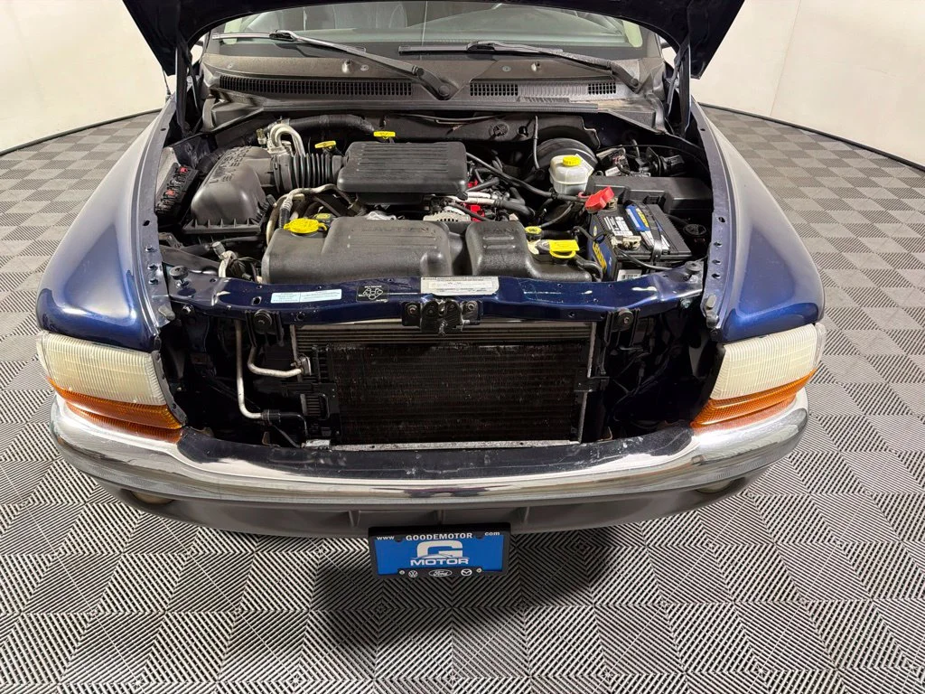 Used 2001  Dodge Sport image 23