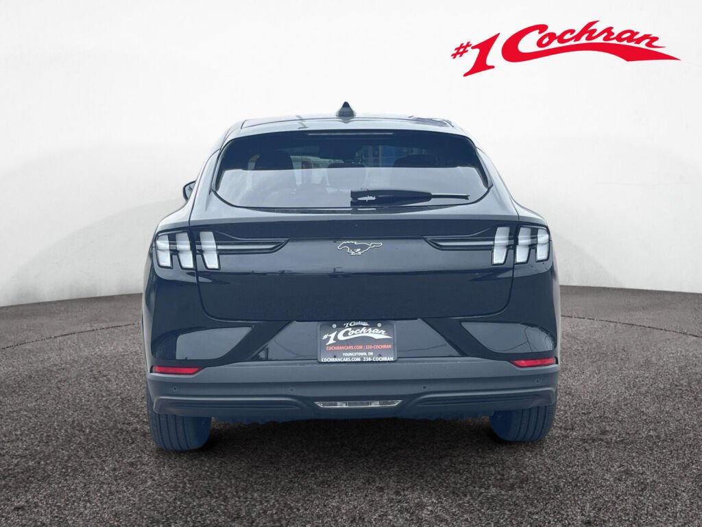 New 2026 Shadow Black Ford Premium image 8