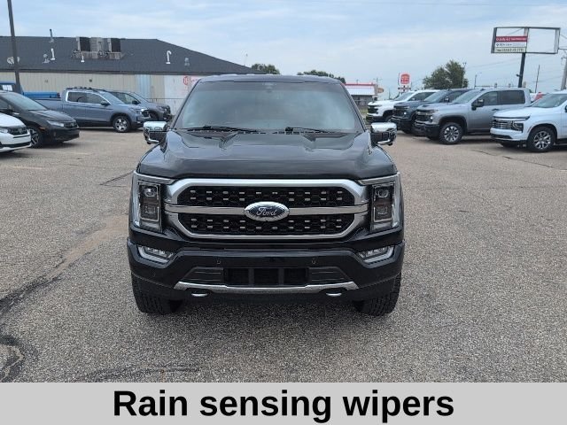 Used 2022 Blue Ford Platinum image 17