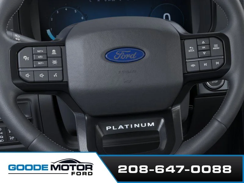 New 2026 White Ford Platinum image 12