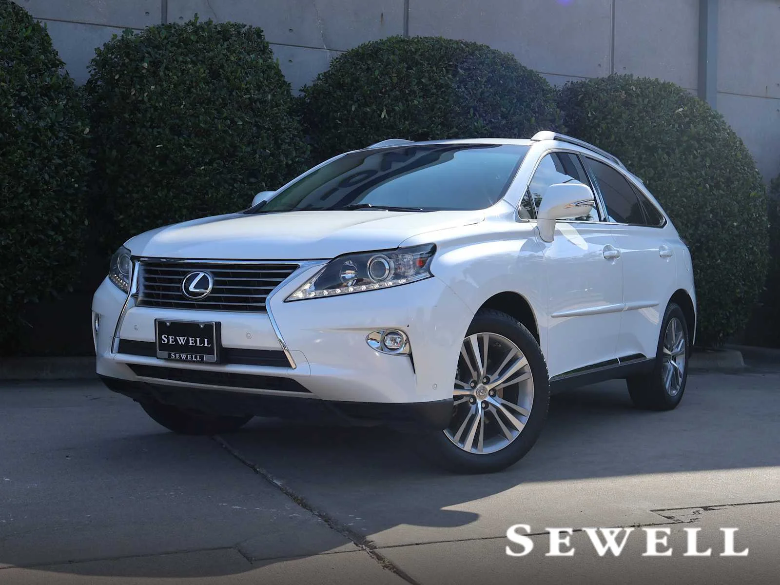 2015 Lexus RX 350 350 AWD's photo