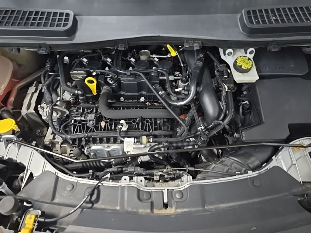 Used 2019 Silver Ford SE image 15