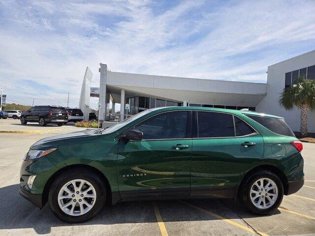 Used 2019 Ivy Metallic Chevrolet LS image 2