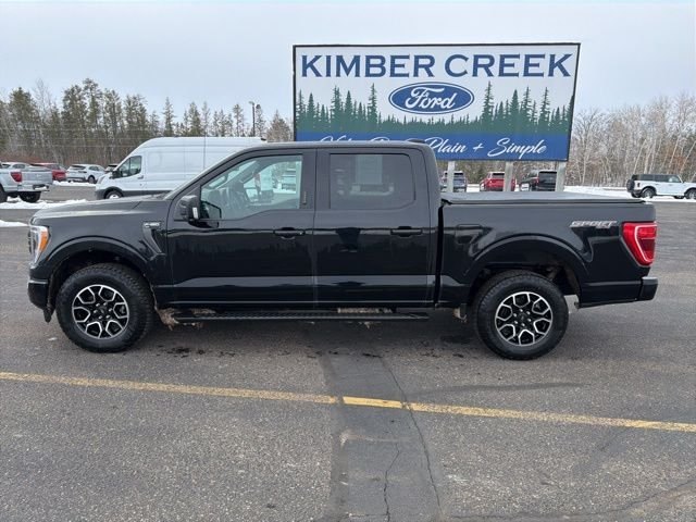 Used 2023 Ford F-150 XLT with VIN 1FTEW1EP3PFA80045 for sale in Pine River, Minnesota