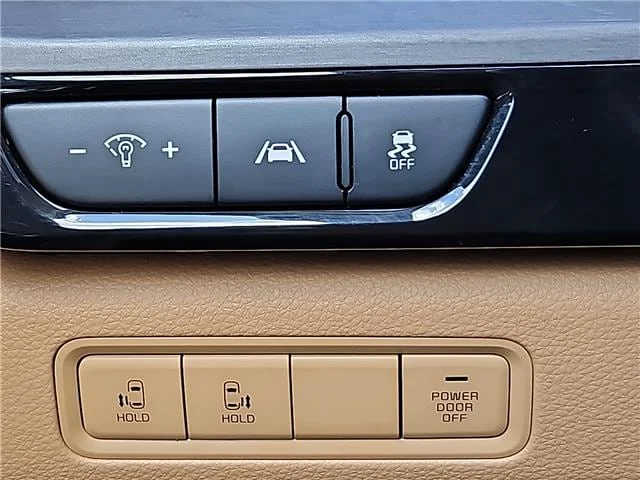 Used 2023 Panthera Metal KIA EX Passenger image 15