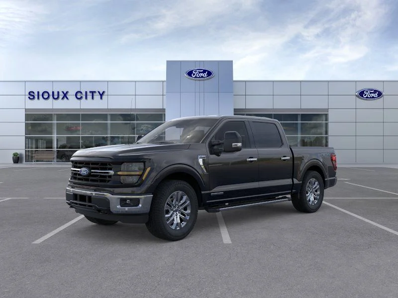 New 2025 Agate Black Metallic Ford XLT image 1