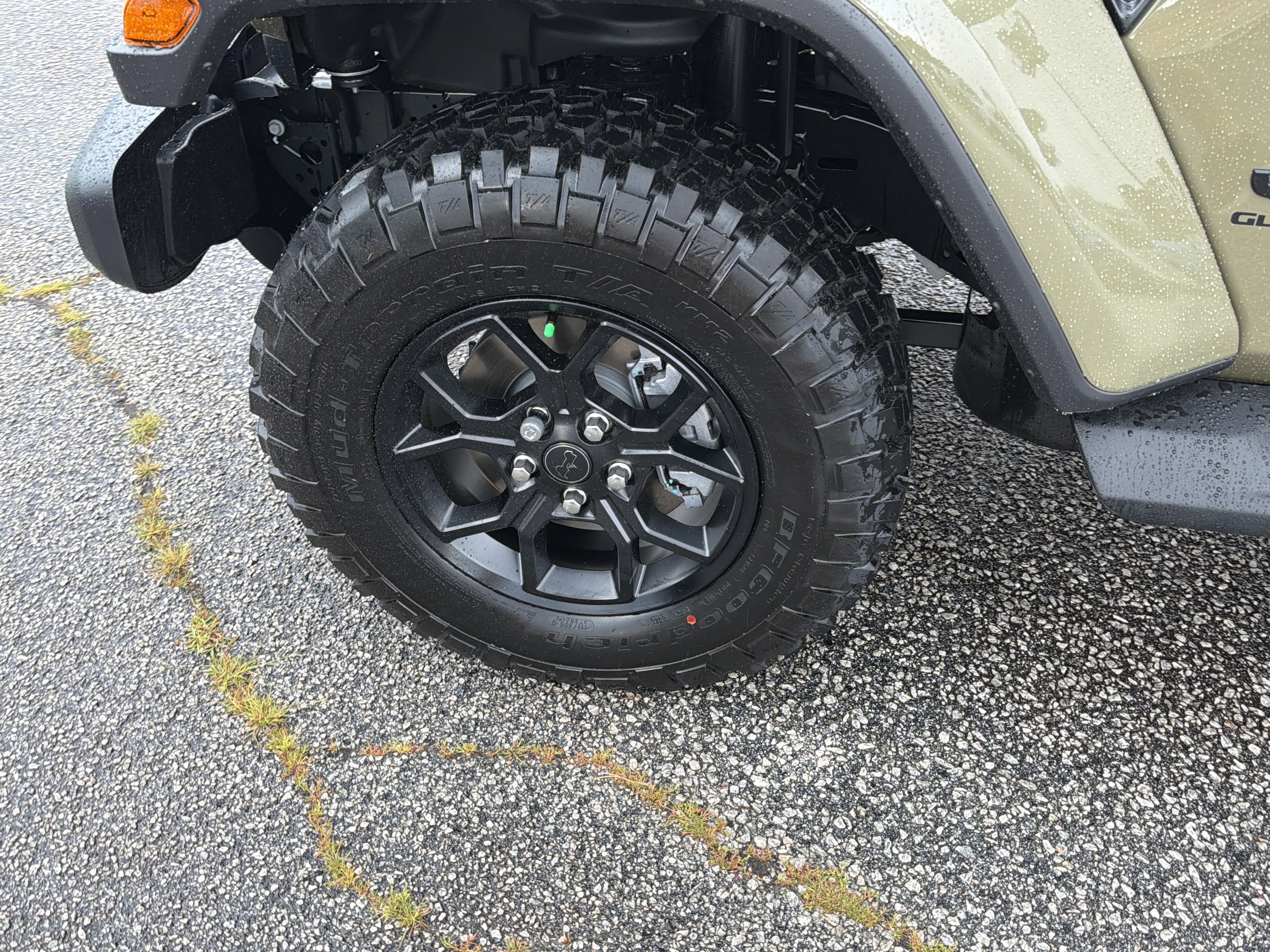 New 2026 41 Exterior Paint Jeep Texas Trail image 12
