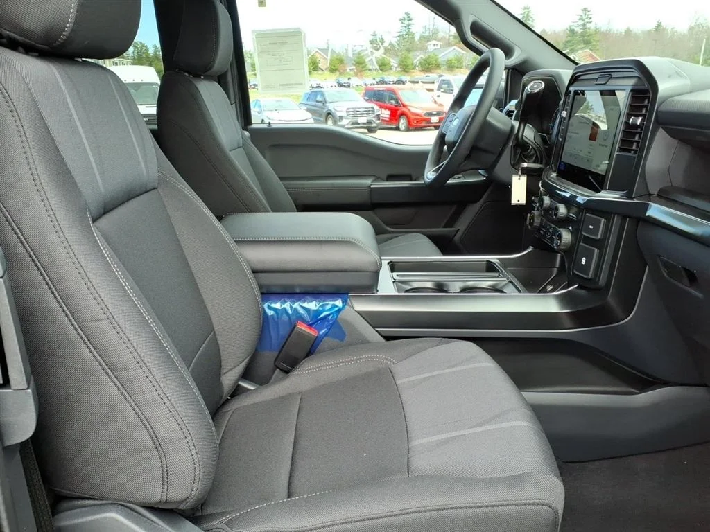 New 2026 Gray Ford STX image 10