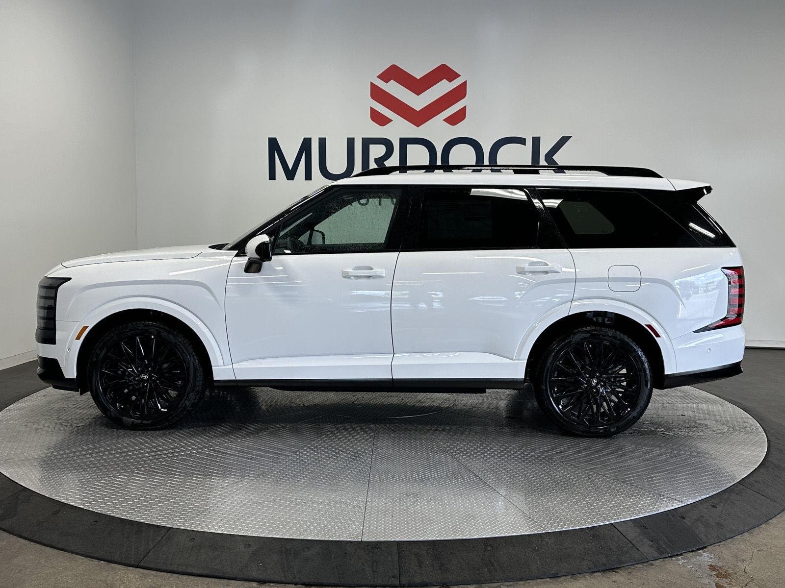 New 2027 Creamy White Pearl Hyundai Calligraphy Black Ink image 10