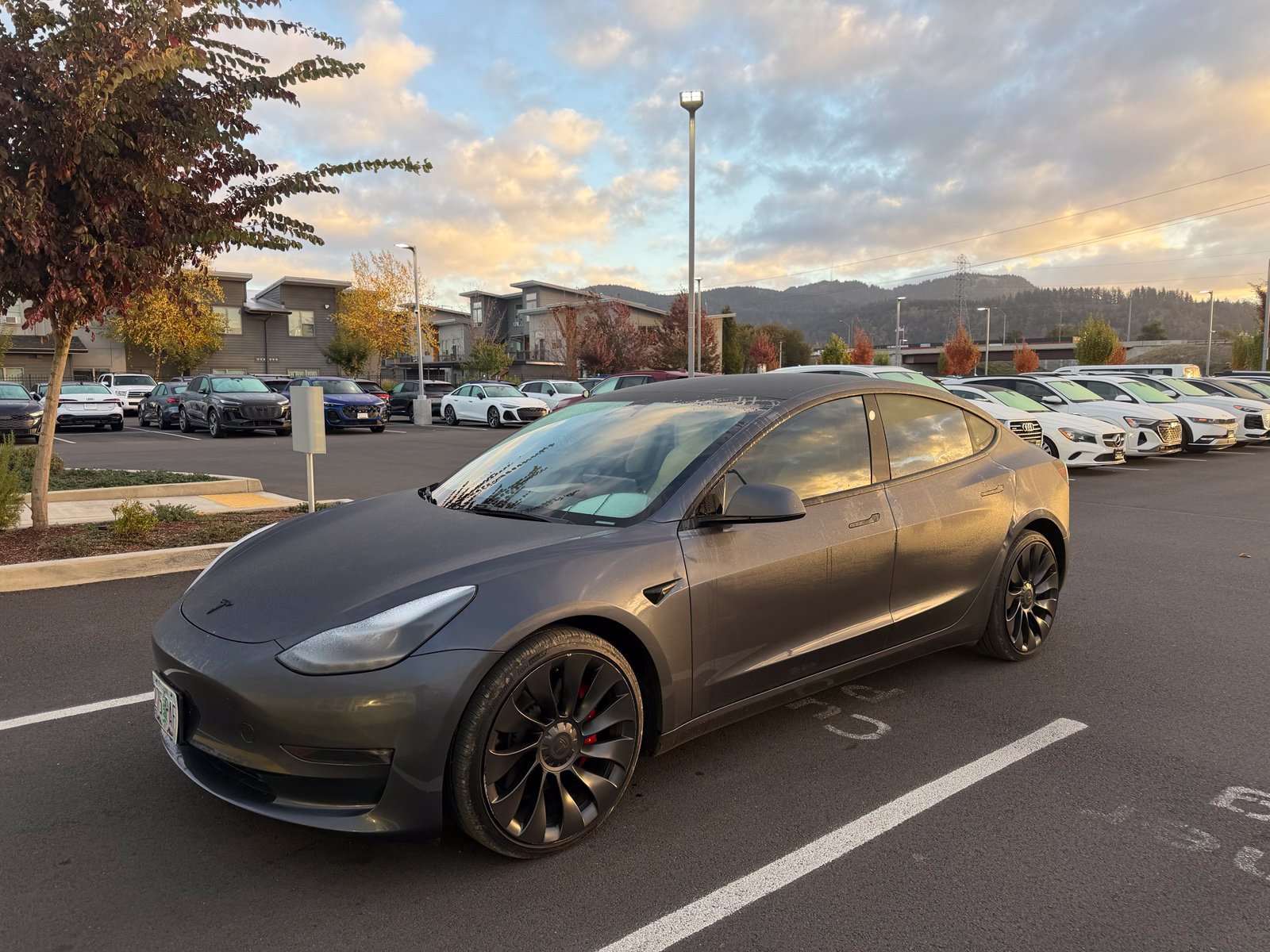 Used 2023 Gray Tesla Performance image 1