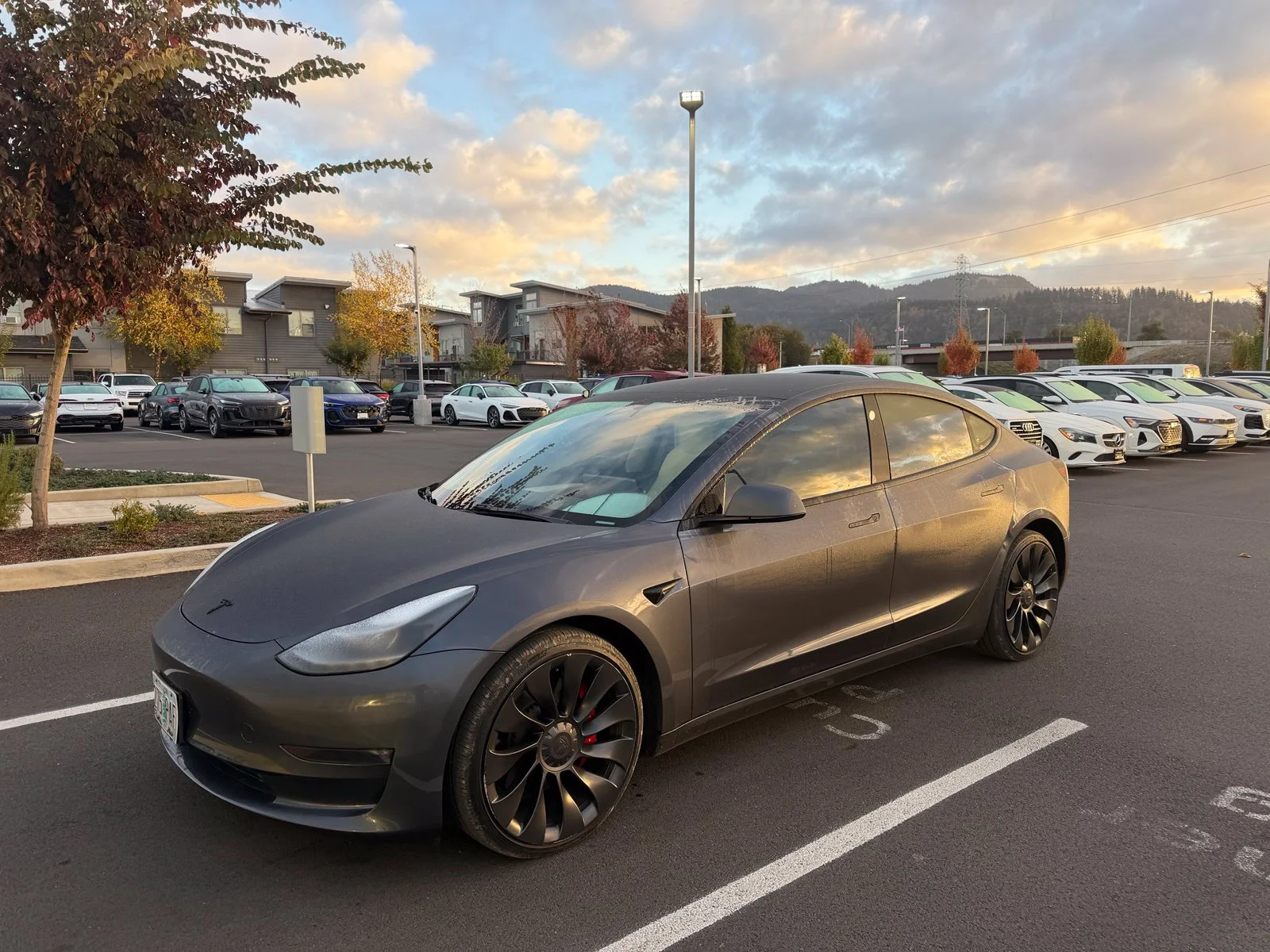 Used 2023 Gray Tesla Performance image 1