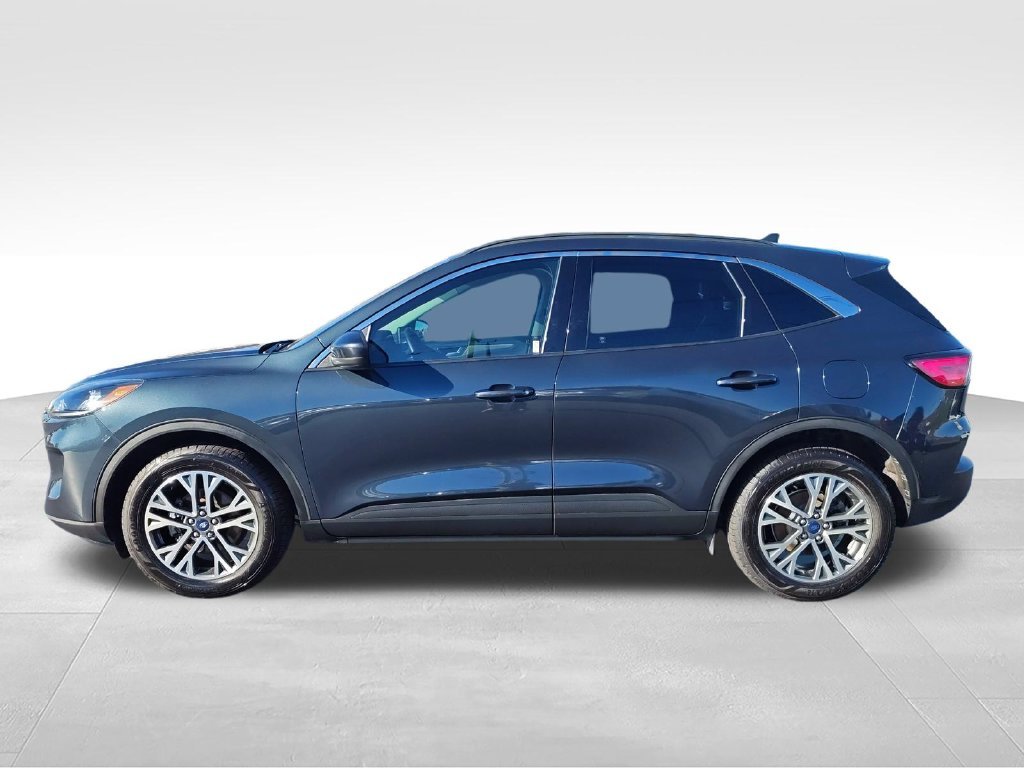 Used 2022 Blue Ford SEL image 2