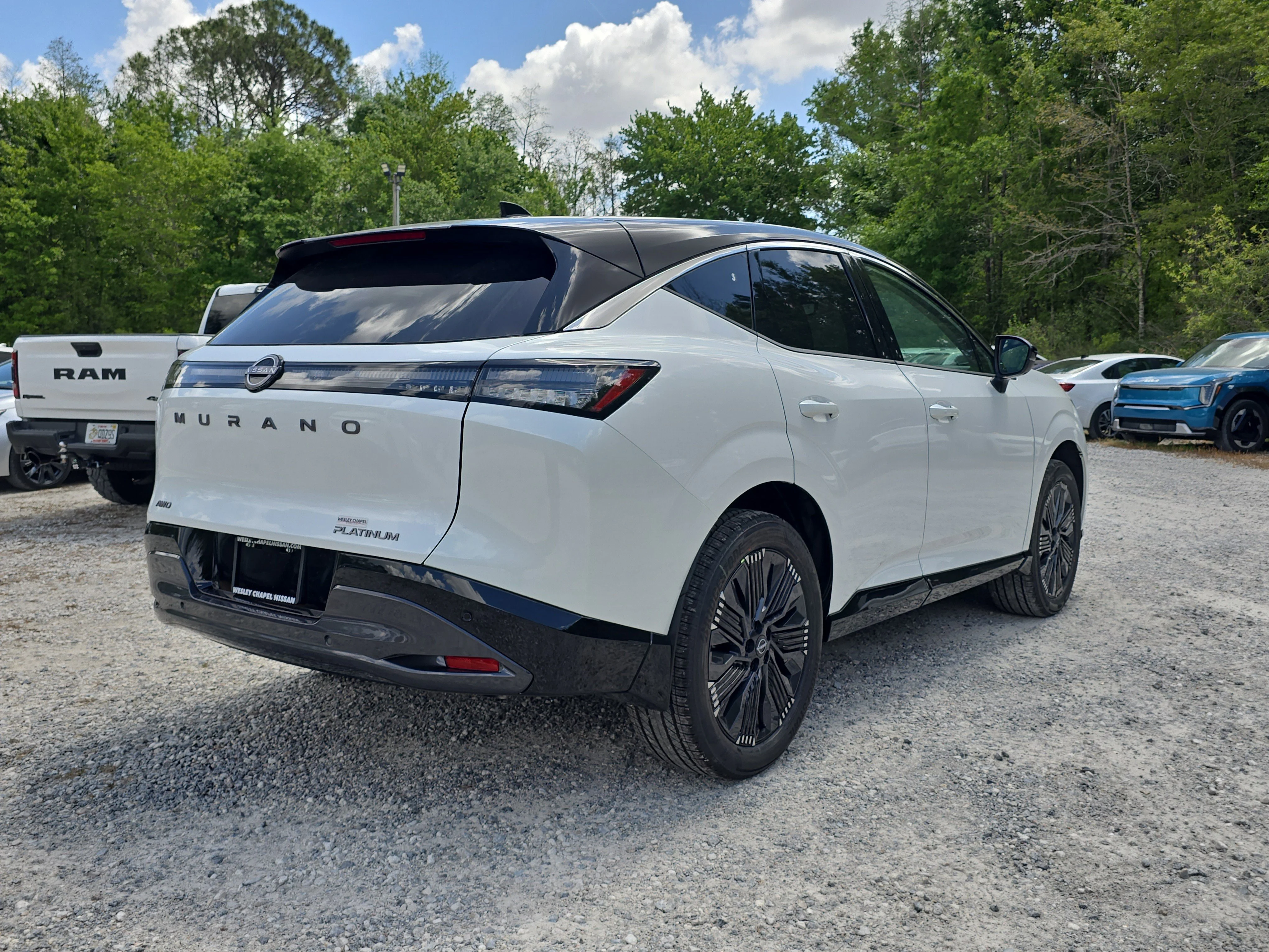 New 2026 Everest White Pearl TriCoat / Super Black Two-tone Nissan Platinum image 8