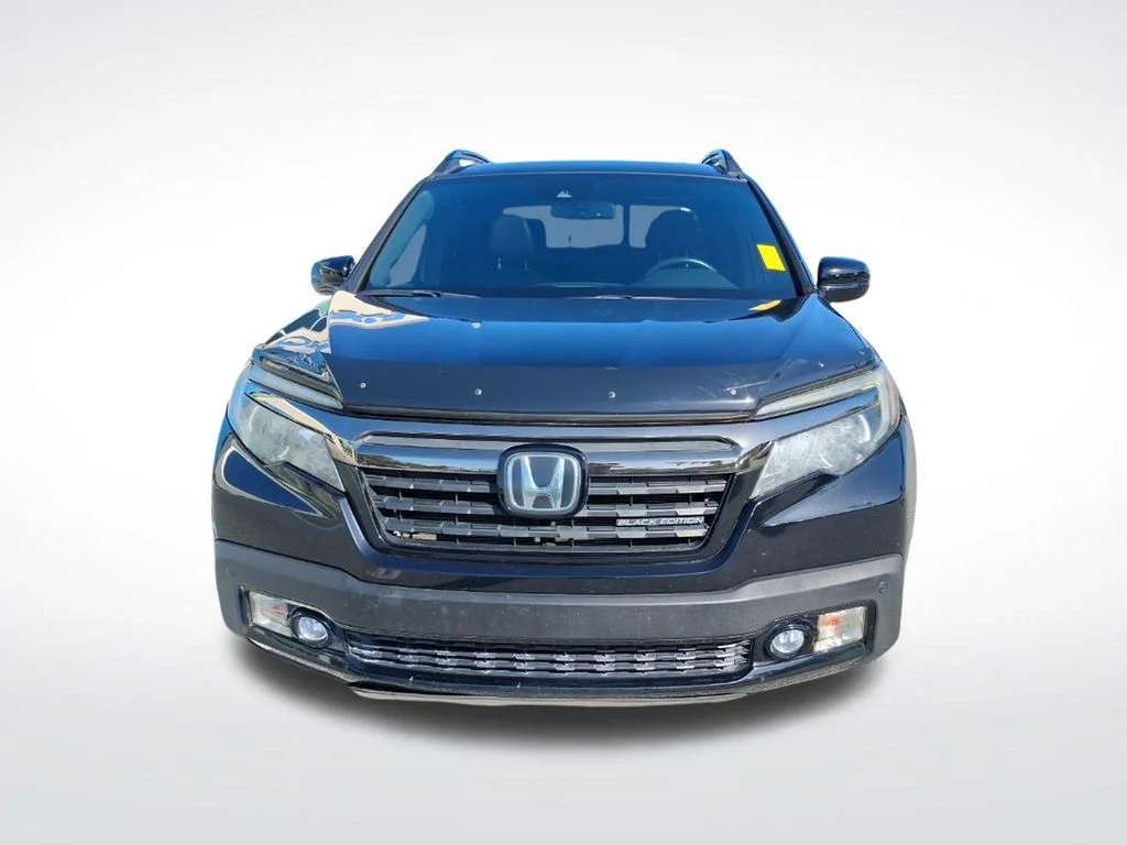 Used 2019  Honda Black Edition image 2