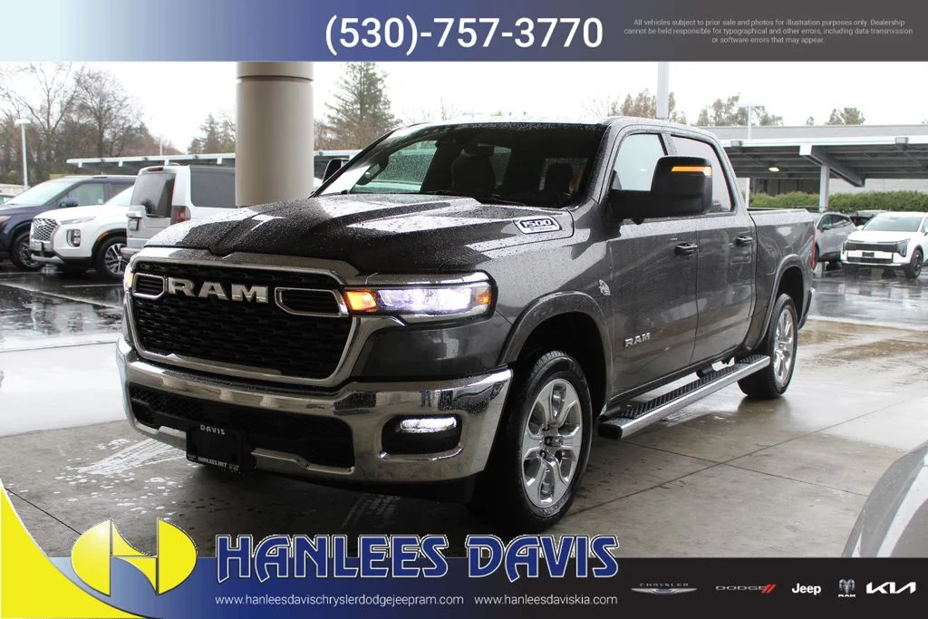 New 2026 Gray Ram Big Horn/Lone Star image 3