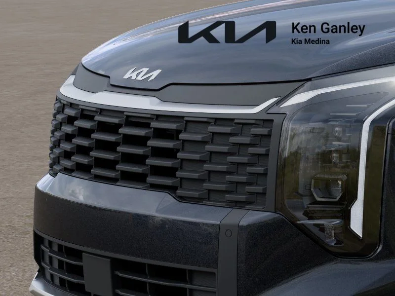 New 2026 Panthera Metal Kia LX image 12