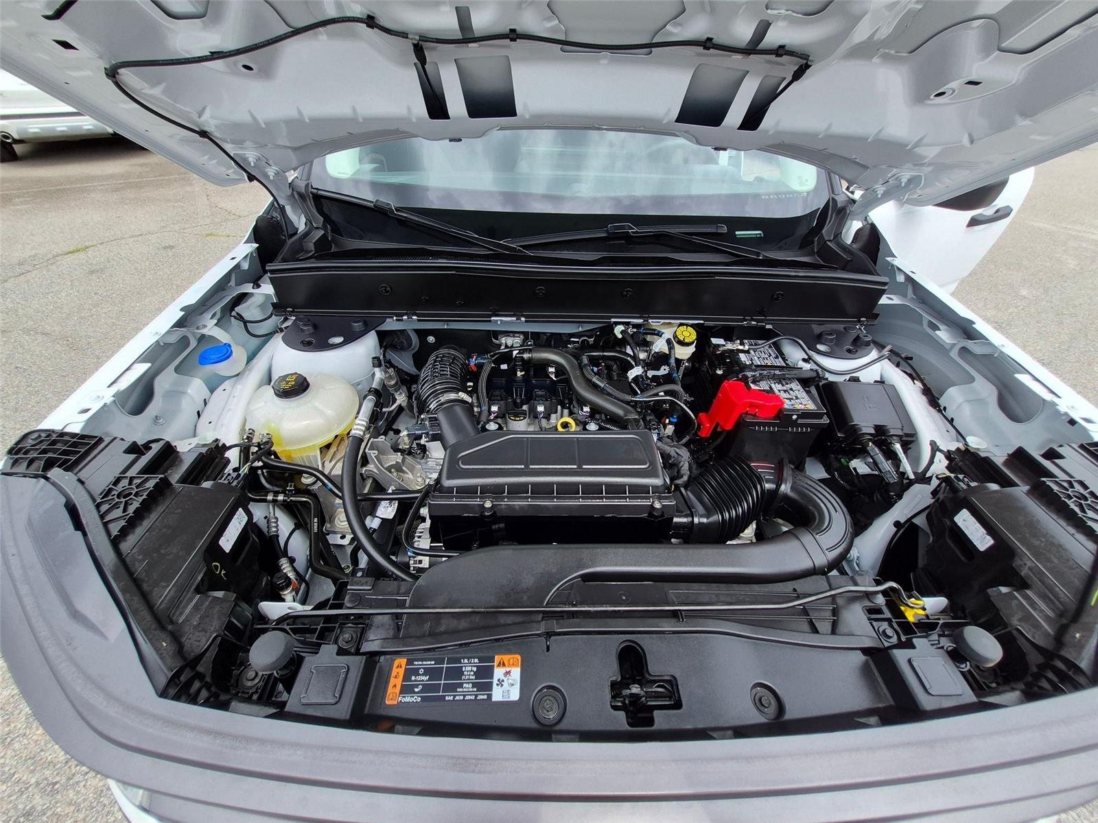 Used 2025 Oxford White Ford Big Bend image 31