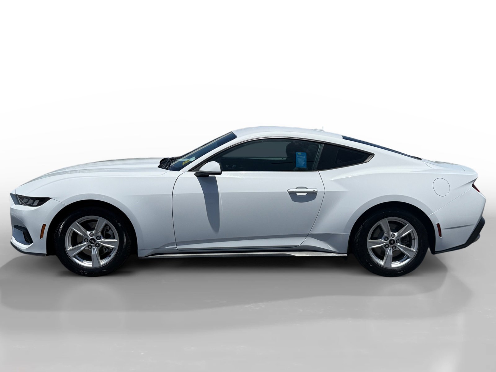 Used 2024 Oxford White Ford EcoBoost image 2