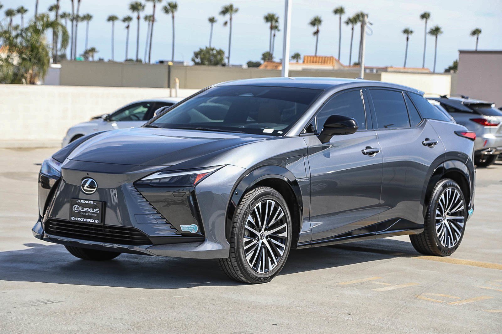 Used 2023 Gray Lexus 450e Premium image 3