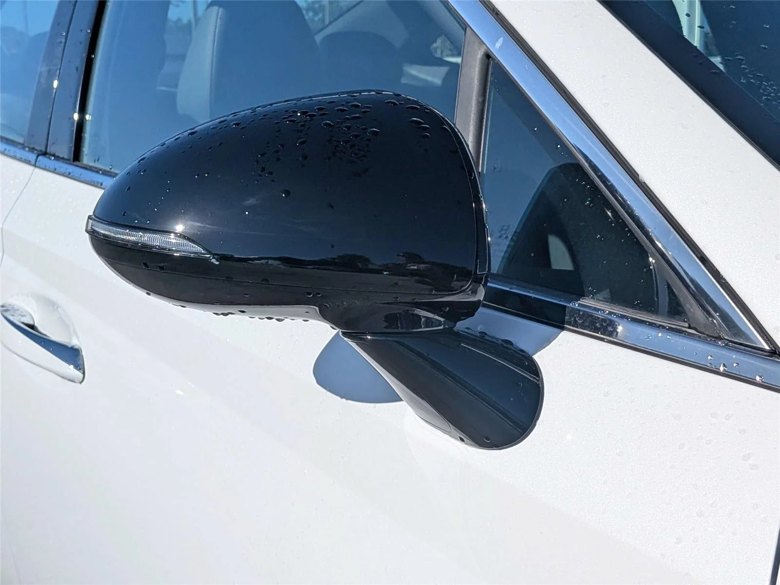 Used 2023 White Hyundai N Line image 10