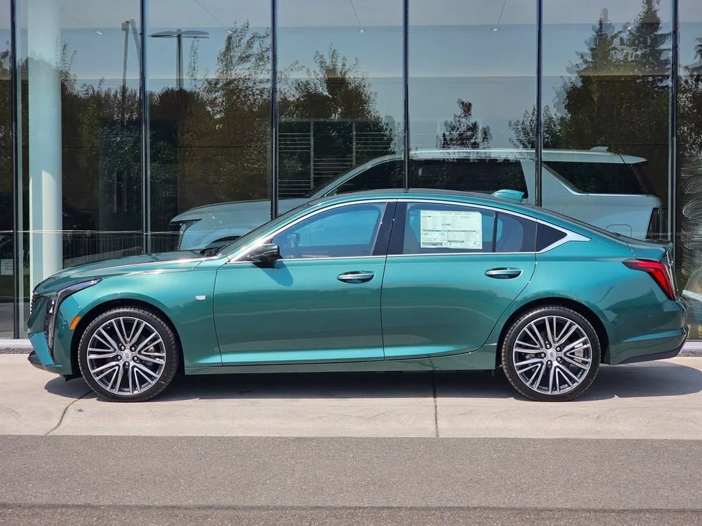 New 2026 Typhoon Metallic Cadillac Premium Luxury image 2